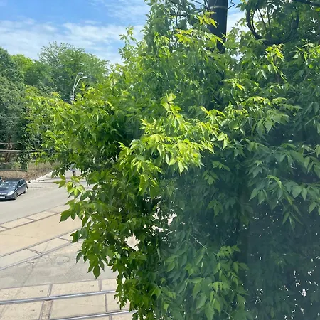 House Of Tourists Garden And 民宿 布加勒斯特