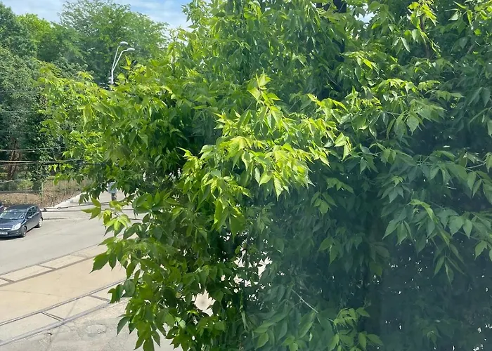 House Of Tourists Garden And 民宿 布加勒斯特